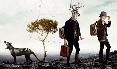 racket travels with tiger