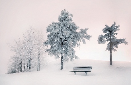 mikkolagerstedt2 mikko lagerstedt