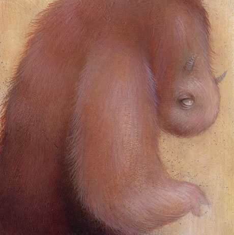 Dan May
