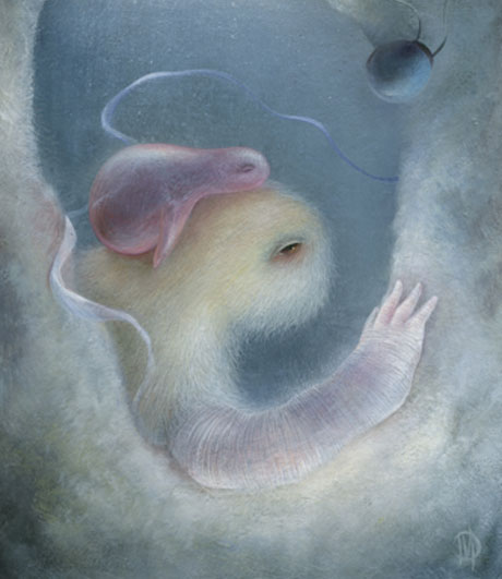 Dan May